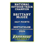 Achievement Banners