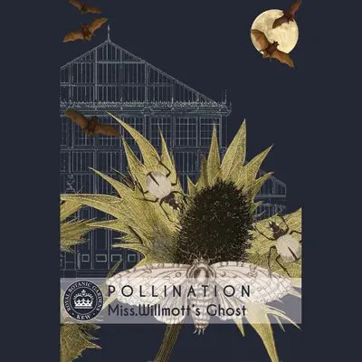 Sea Holly - Miss Willmott's Ghost (Seed)