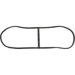 Windshield Gasket