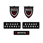 Custom Hockey Helmet Decal Sets
