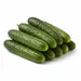 CUCUMBERS ENGLISH OG | 12 CT