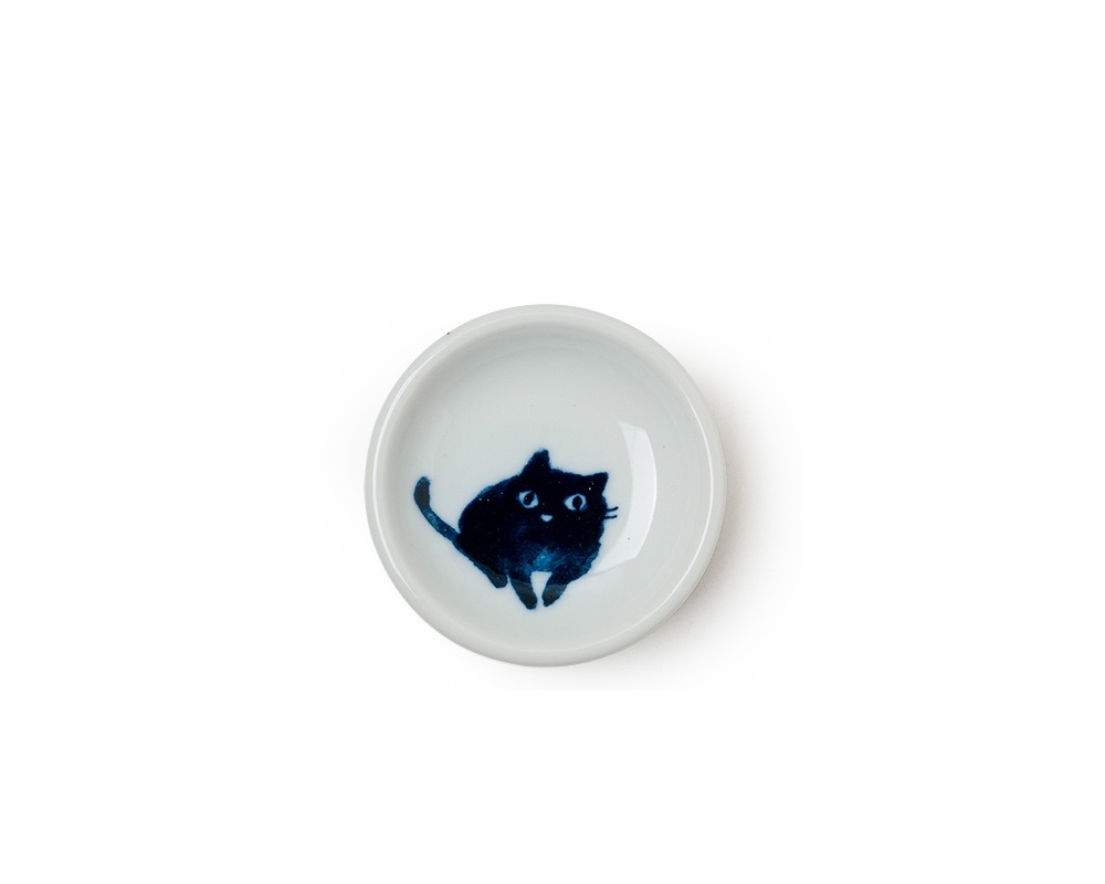 midnight blue cat