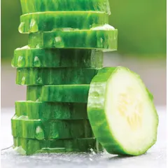 Cucumber - Tastygreen Hybrid (English-Type)