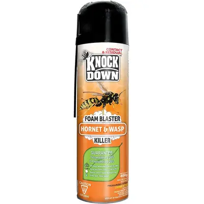Knock Down Hornet + Wasp