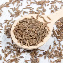 Herb - Caraway (Bulk Seed)