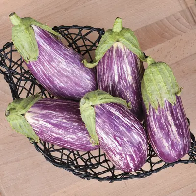 Eggplant - Listada de Gandia (Organic Seed)