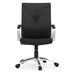 14010CHRBLK0508 - WREN EXECUTIVE CHAIR- Chrome & Black