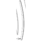 TRIM LIGHT OUTER CHEEK LOWER R