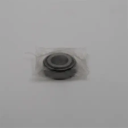 BEARING         