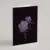 GREETING CARD - MUSK MALLOW
