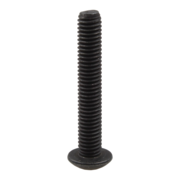 Screw (P-24489)