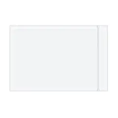 4 X 6" 2 MIL "CLEAR FACE" RESEALABLE PACKING LIST ENVELOPE, 1000/CS  RCF46
