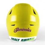 Custom Back of the Helmet Football Helmet Decals