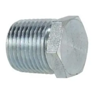 Hex Head Plug, 2 in MPT, Steel