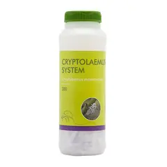 Biobest Cryptolaemus System