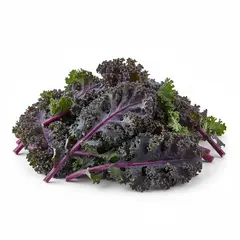 KALE RED OG | 24 CT