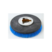 Brush, 13" Poly Carpet W/Plate