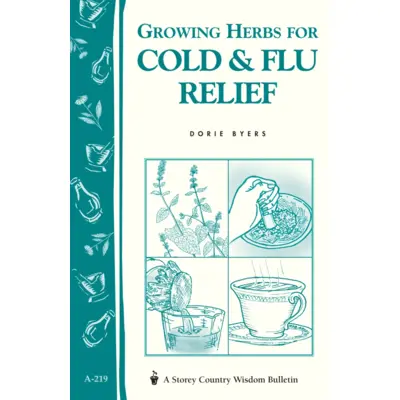 Growing Herbs For Cold & Flu Relief