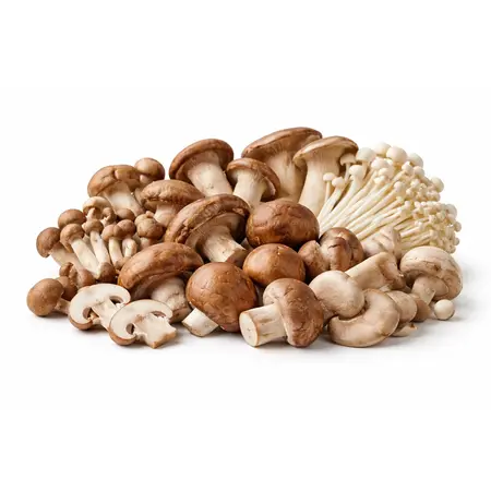 MUSHROOM MEDLEY OG | 6/4 OZ