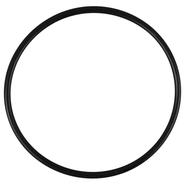 O-Ring (OR-PP-182B)