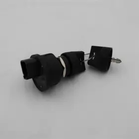 SWITCH, SEALED KEY 95060
