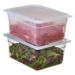 Cambro 1/2 Size, 6"D Food Pans