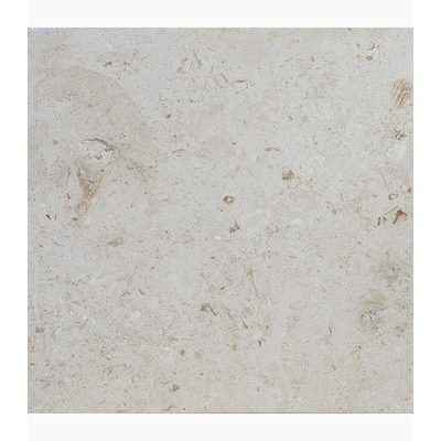 24X24 Shell Stone
