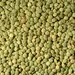 BEANS LENTILS GREEN OG | 25 LBS