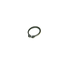 Snap Ring