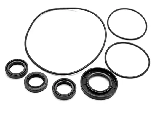 Veloci Replacement Pump Kit for AR Kit 42170 