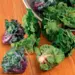 Brussels Sprouts - Flower Sprout (Seed)