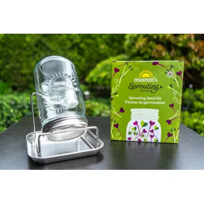 1L Glass Sprouting Jar