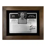 20 Series Hall of Fame & Tribute Award Plaques