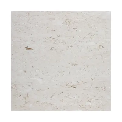 Stone-Mart - Shell Stone