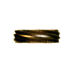 Broom, 50" 8 D.R. Proex & Wire