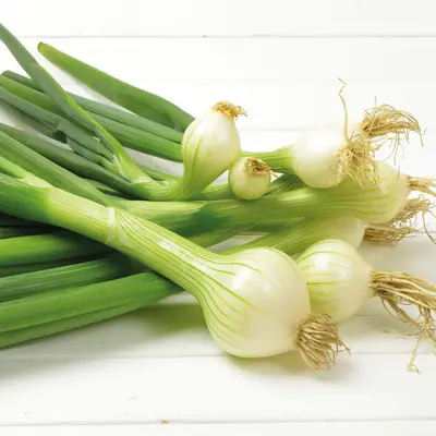 Onion - Pickling Paris (Seed)