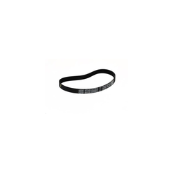 Nilfisk Advance - 56265024 - Poly V Belt For Ag-16