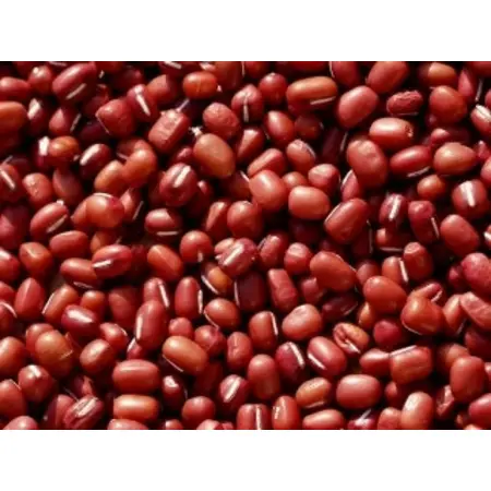 BEANS ADUKI OG | 25 LBS