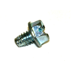 Screw
