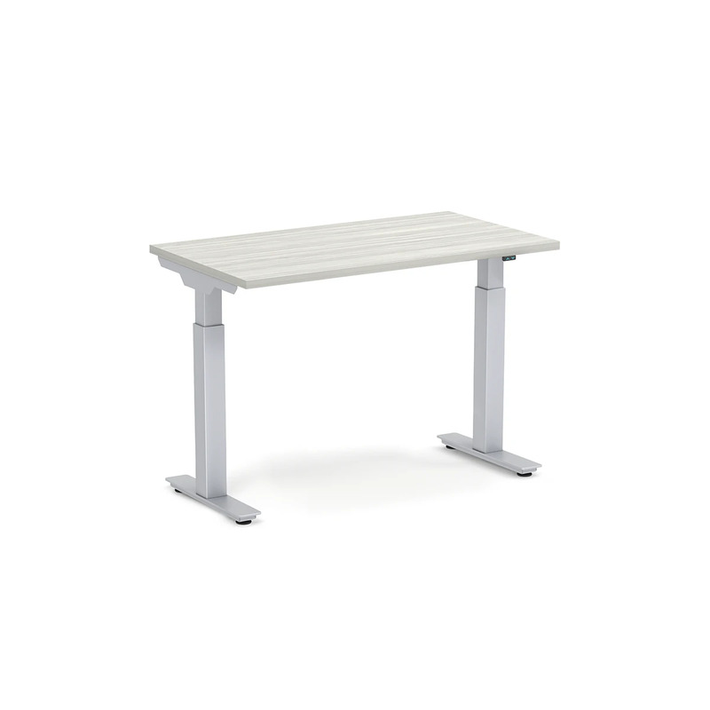Echo Electric Sit-Stand Desk 24" X 42" - Silver Birch
