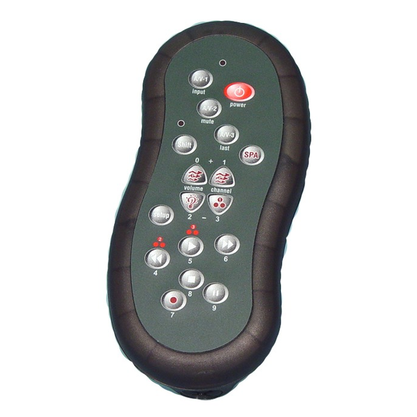 Hydro Quip Handheld Infared Remote 34-0196