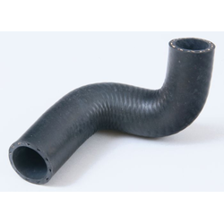 Lower Radiator Hose