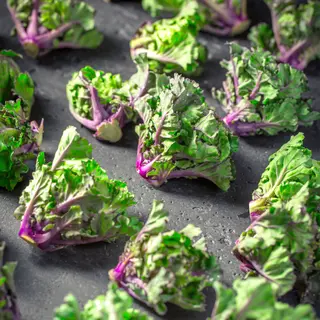 Brussels Sprouts - Flower Sprout (Seed)