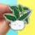 THE PLANT BUDDIES - HOYA MACROPHYLLA