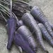 Carrot - Purple Sun (Seed)