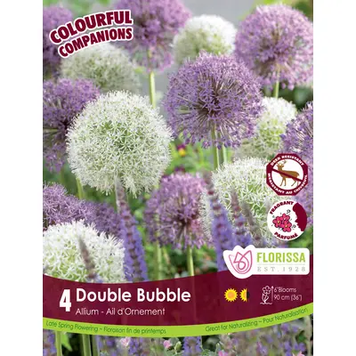 Allium Mix - 'Double Bubble' 6/pkg