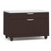 PL1012 TWO DRAWER PERSONAL CABINET- ESPRESSO