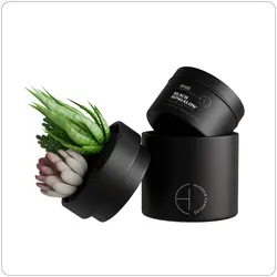Hidden Candles - Beach Bungalow, Ceramic Succulent & 10.6 oz Candle