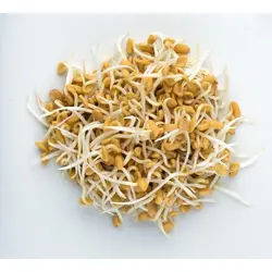 Mumm's Fenugreek Sprouts