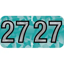 PMA Holographic Compatible Yearcode 97100 Label Rolls